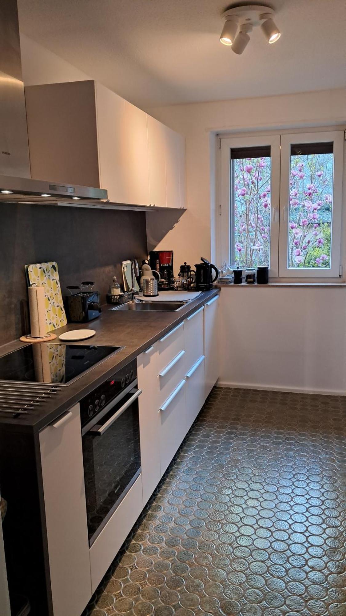 Wohnung Medicus, 3 Zkb, Balkon, Garten, Naehe Stadtpark, Ruhig カイザースラウテルン エクステリア 写真